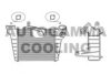 AUTOGAMMA 104102 Intercooler, charger